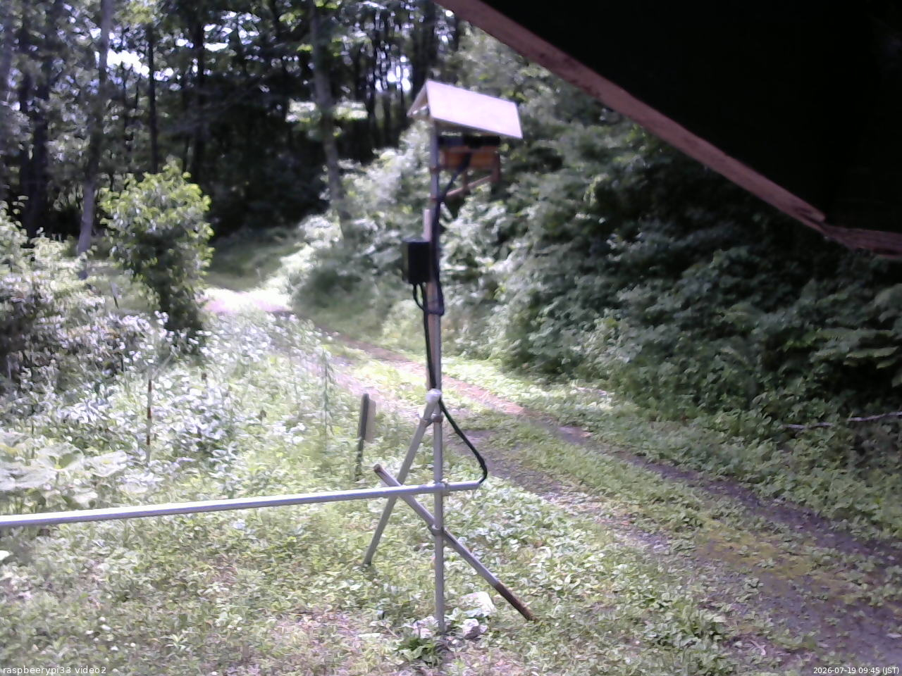 長野県菅平高原 ゆたか山荘 南側 2026/07/19 09:45