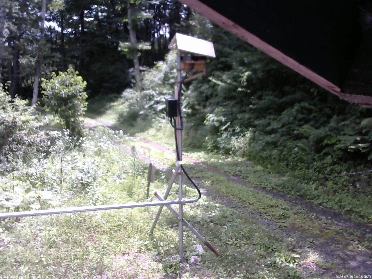 長野県菅平高原 ゆたか山荘 南側 2026/07/19 10:15