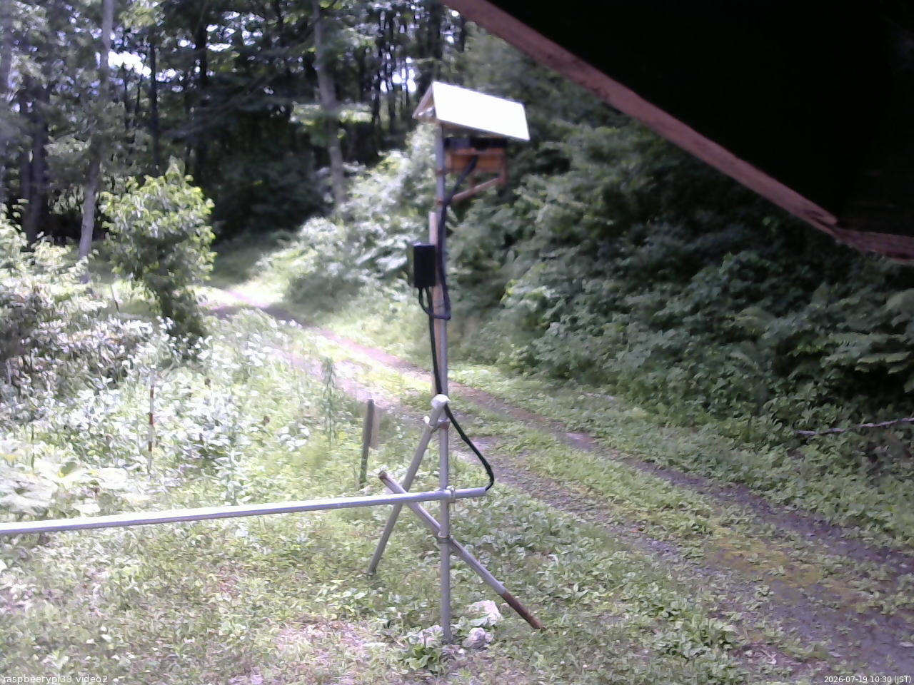 長野県菅平高原 ゆたか山荘 南側 2026/07/19 10:30