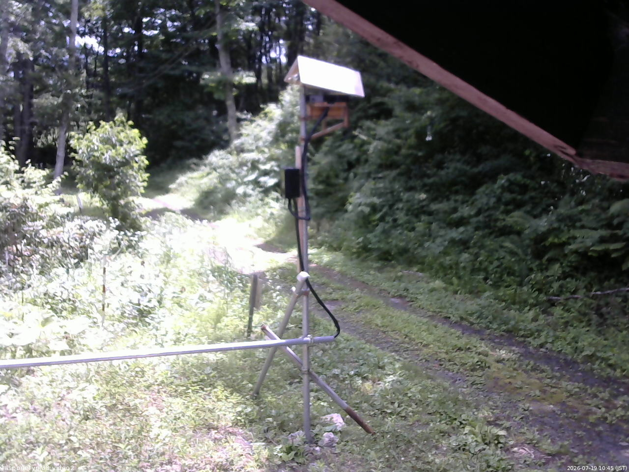 長野県菅平高原 ゆたか山荘 南側 2026/07/19 10:45