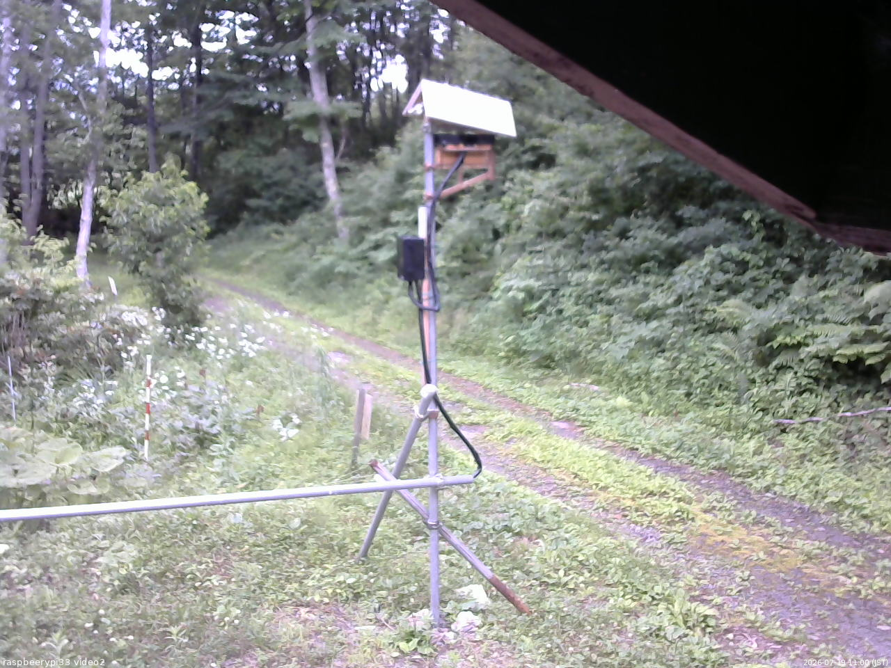 長野県菅平高原 ゆたか山荘 南側 2026/07/19 11:00