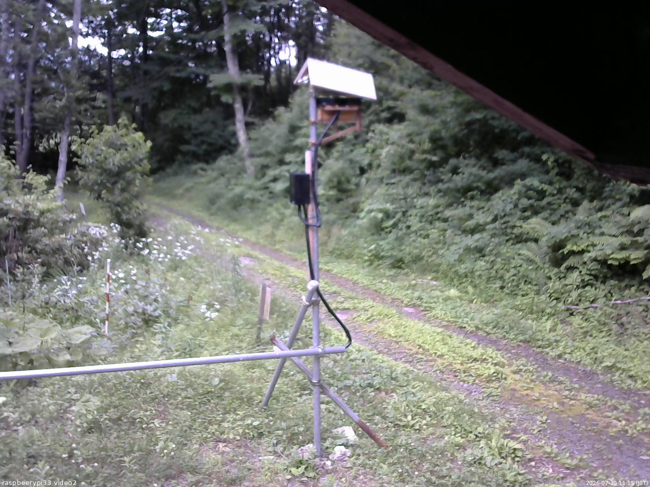 長野県菅平高原 ゆたか山荘 南側 2026/07/19 11:15