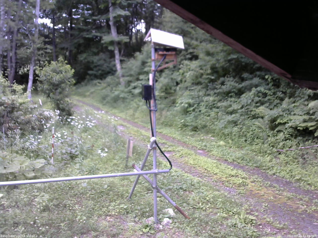 長野県菅平高原 ゆたか山荘 南側 2026/07/19 11:45