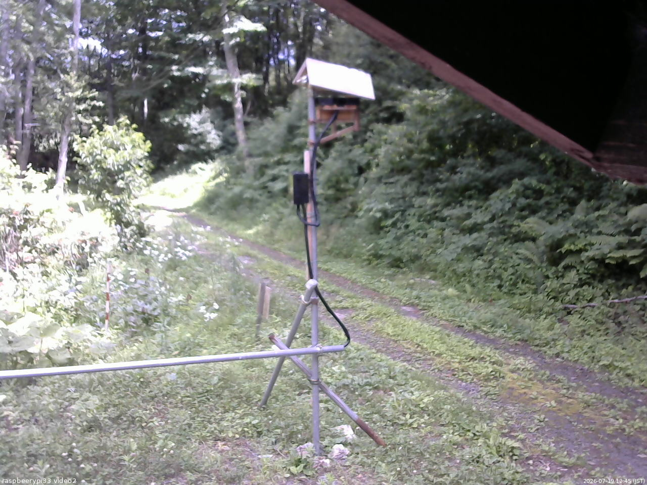長野県菅平高原 ゆたか山荘 南側 2026/07/19 12:45