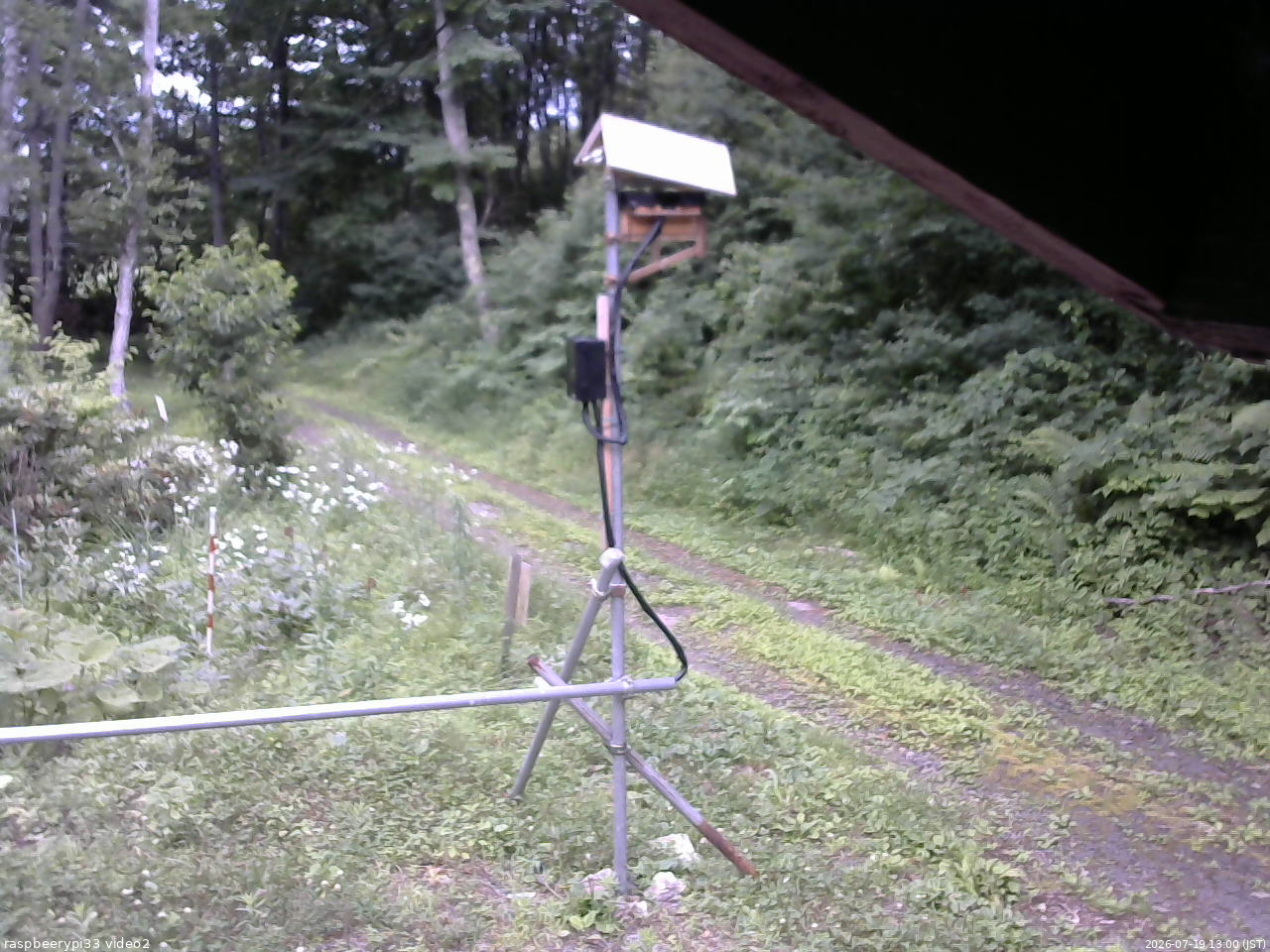 長野県菅平高原 ゆたか山荘 南側 2026/07/19 13:00