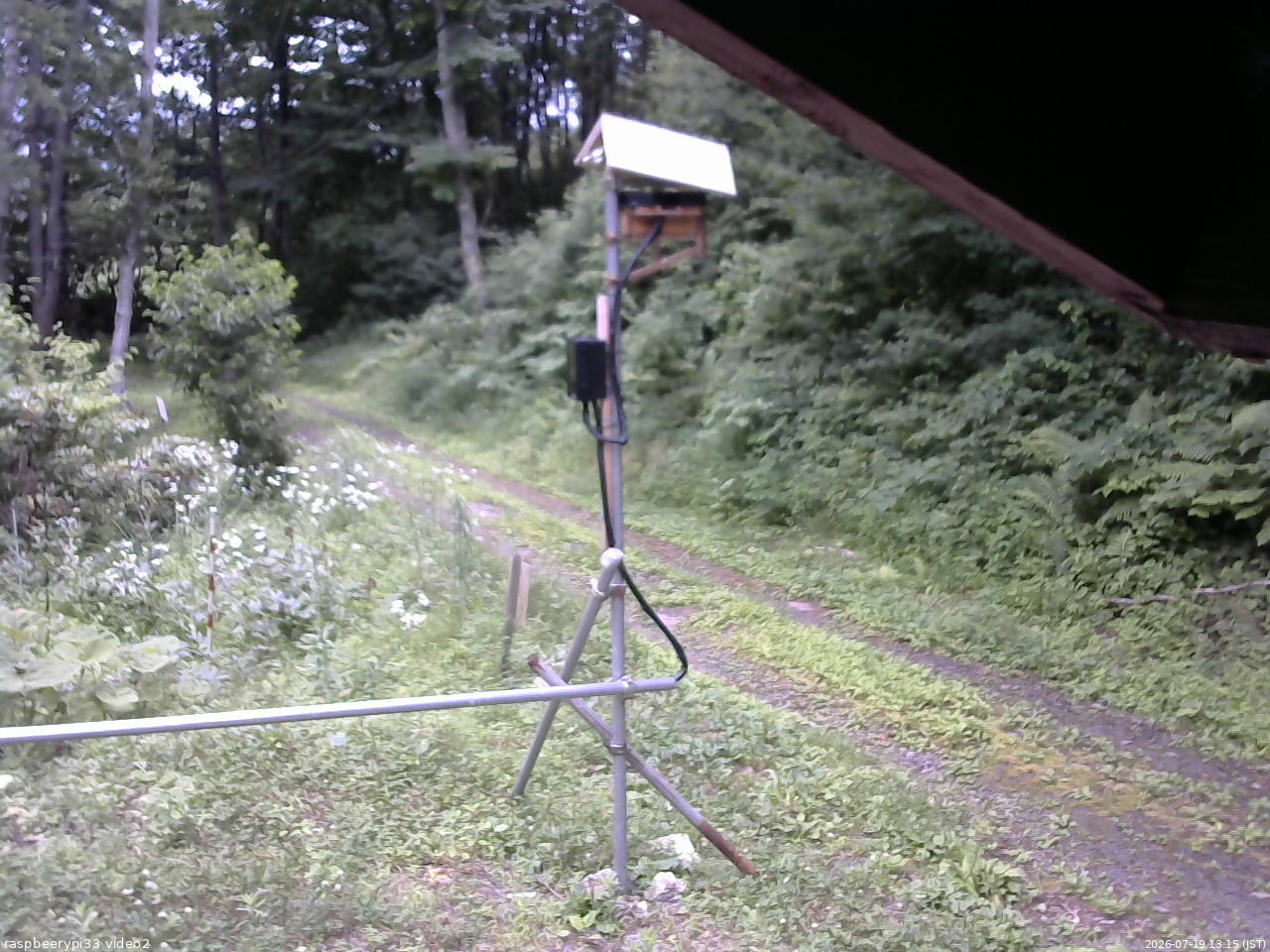 長野県菅平高原 ゆたか山荘 南側 2026/07/19 13:15