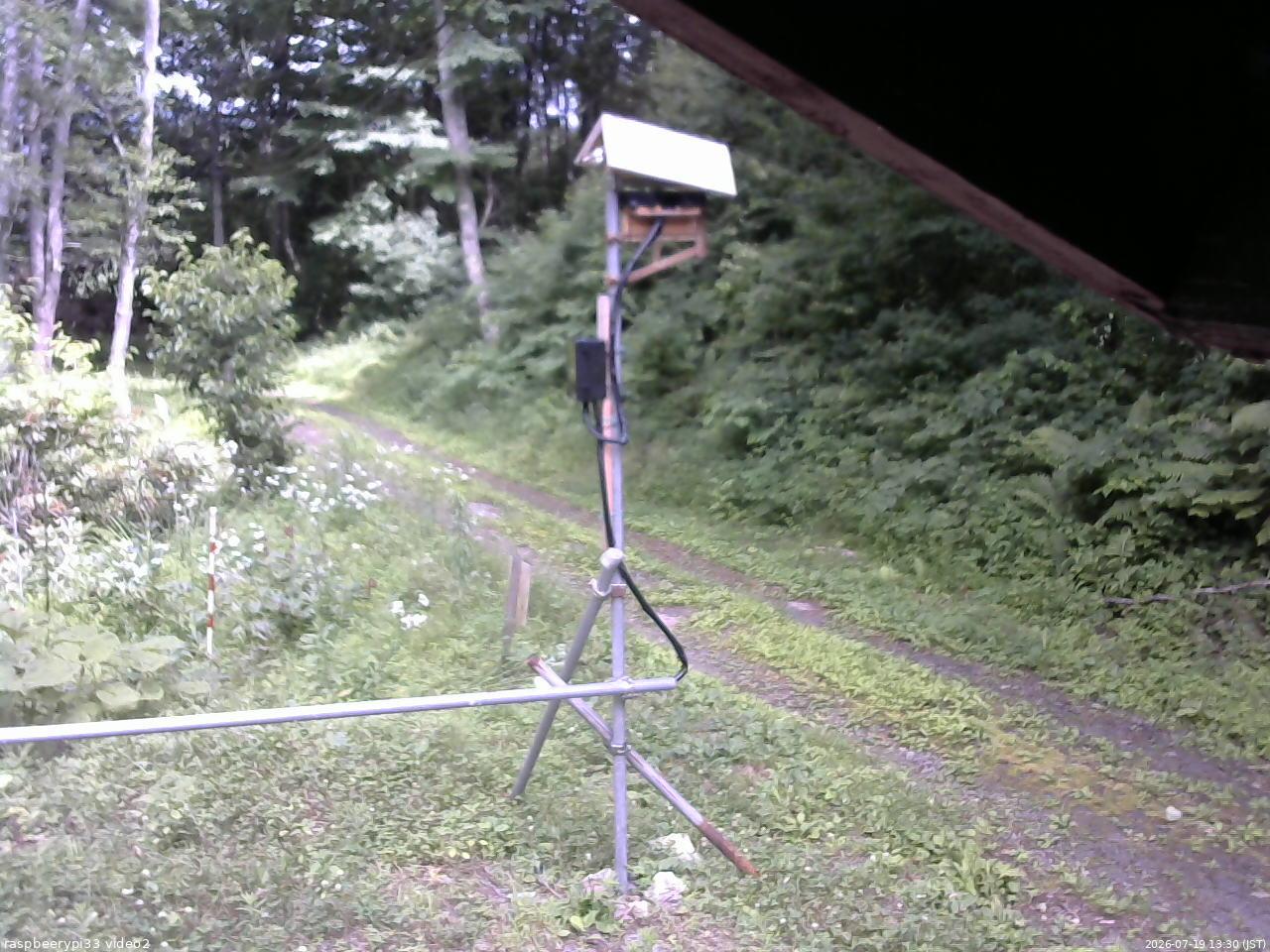 長野県菅平高原 ゆたか山荘 南側 2026/07/19 13:30