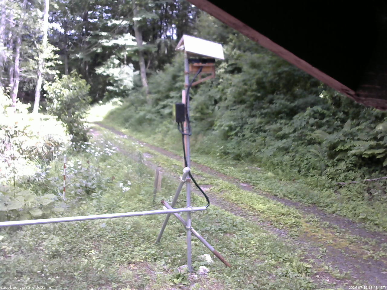 長野県菅平高原 ゆたか山荘 南側 2026/07/19 13:45