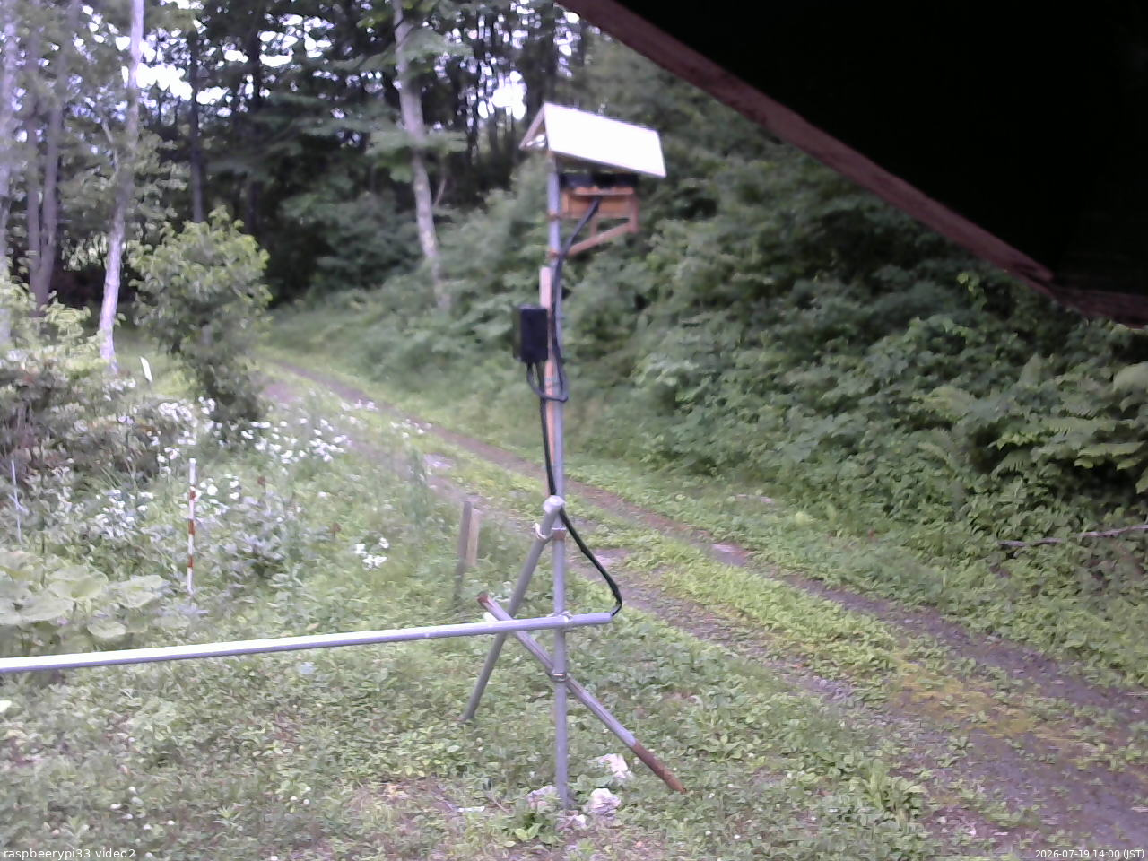 長野県菅平高原 ゆたか山荘 南側 2026/07/19 14:00