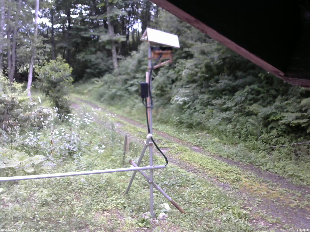 長野県菅平高原 ゆたか山荘 南側 2026/07/19 14:30