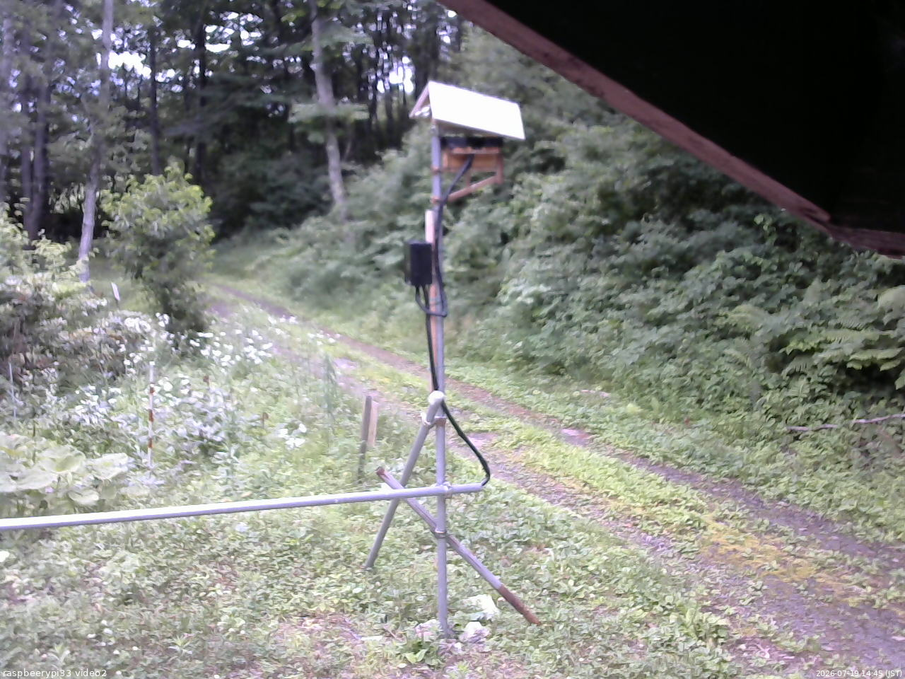 長野県菅平高原 ゆたか山荘 南側 2026/07/19 14:45