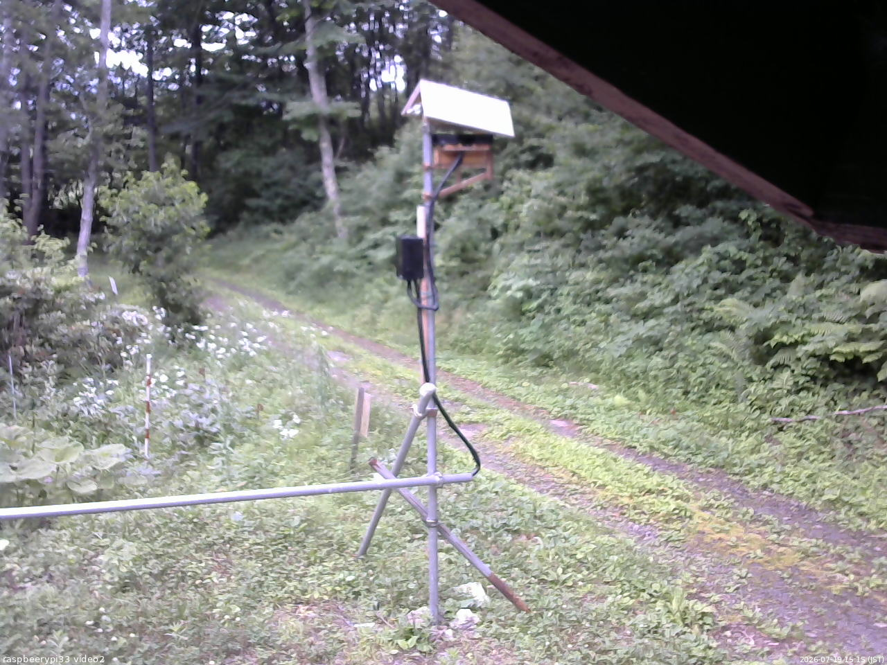 長野県菅平高原 ゆたか山荘 南側 2026/07/19 15:15
