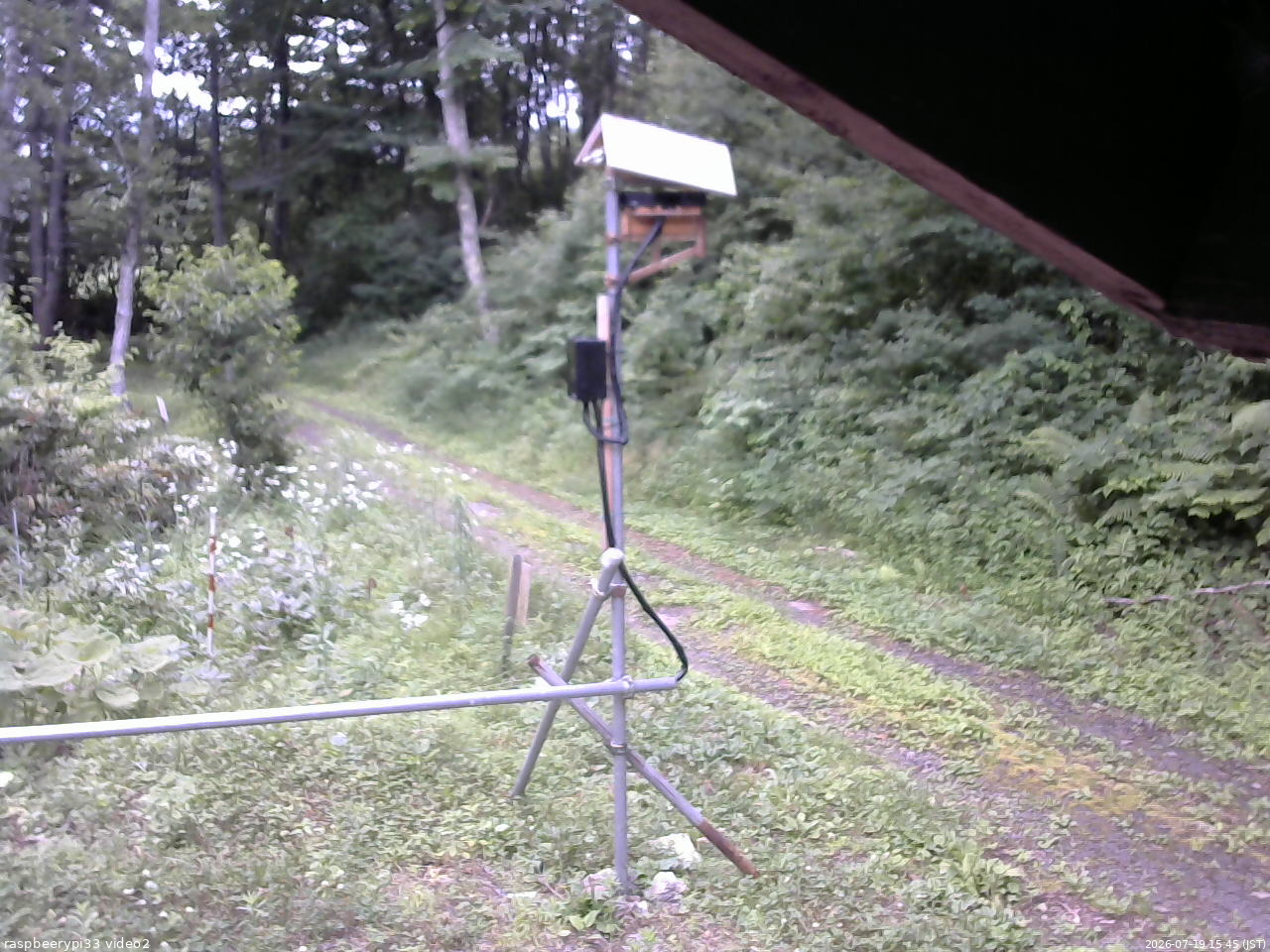 長野県菅平高原 ゆたか山荘 南側 2026/07/19 15:45