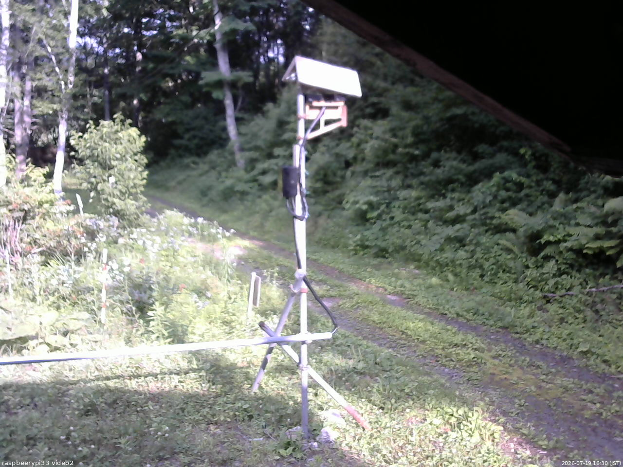 長野県菅平高原 ゆたか山荘 南側 2026/07/19 16:30