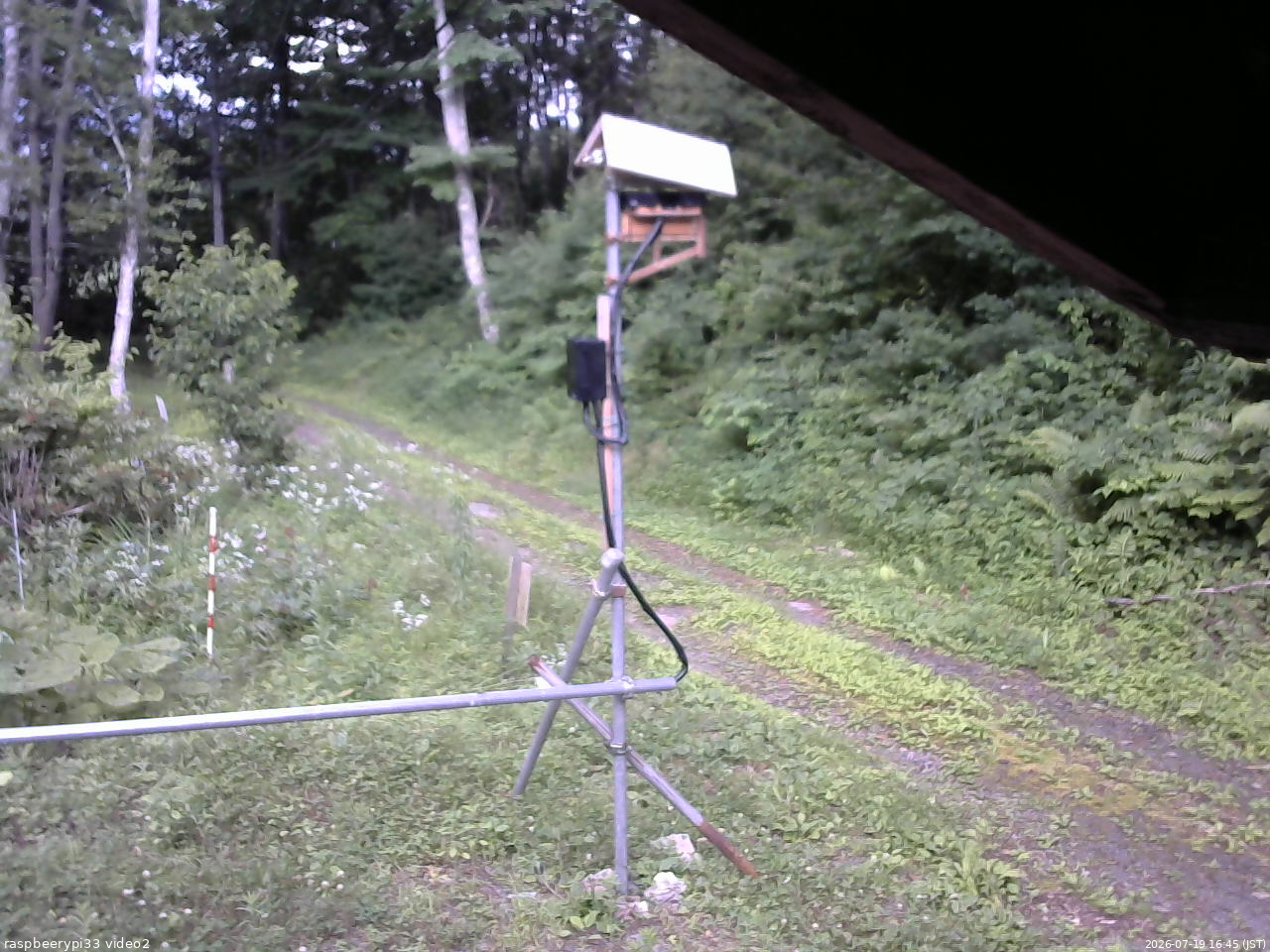 長野県菅平高原 ゆたか山荘 南側 2026/07/19 16:45