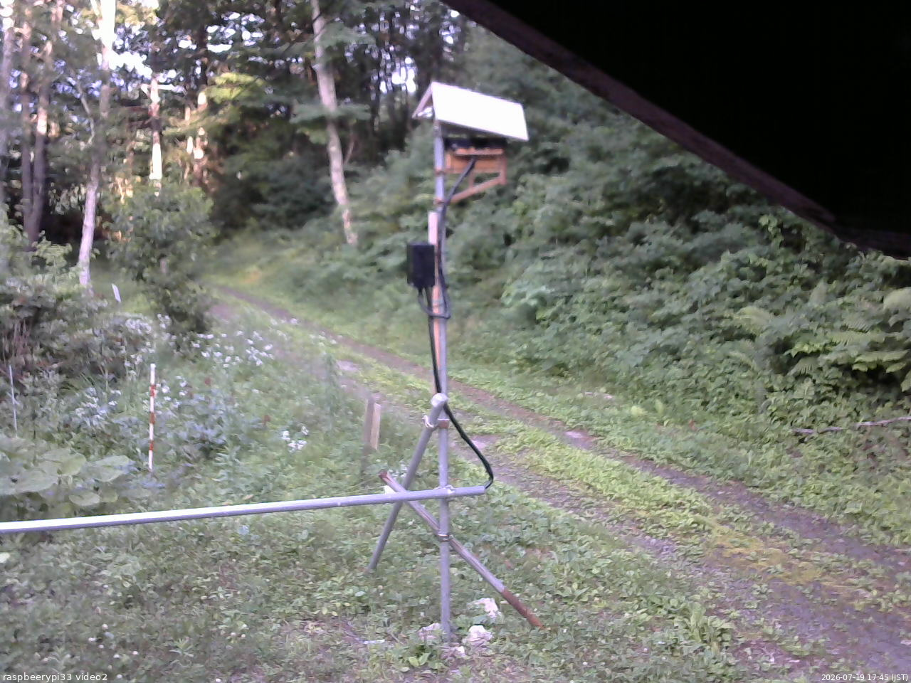 長野県菅平高原 ゆたか山荘 南側 2026/07/19 17:45
