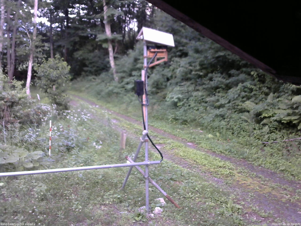 長野県菅平高原 ゆたか山荘 南側 2026/07/19 18:30