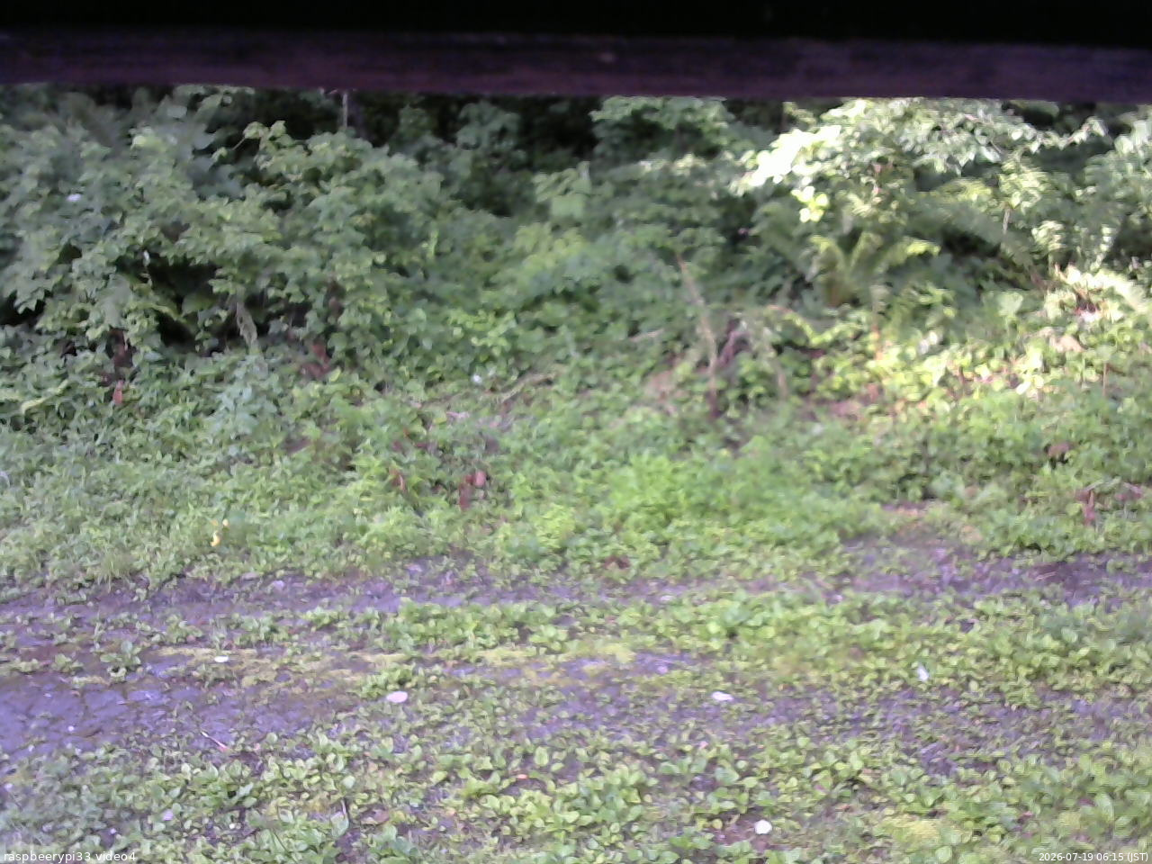 長野県菅平高原 ゆたか山荘 東側(坂下) 2026/07/19 06:15