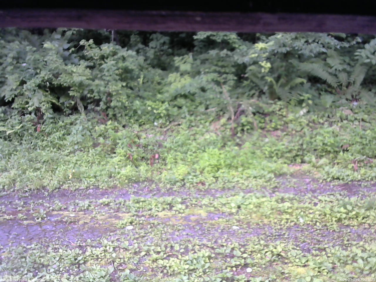 長野県菅平高原 ゆたか山荘 東側(坂下) 2026/07/19 07:00