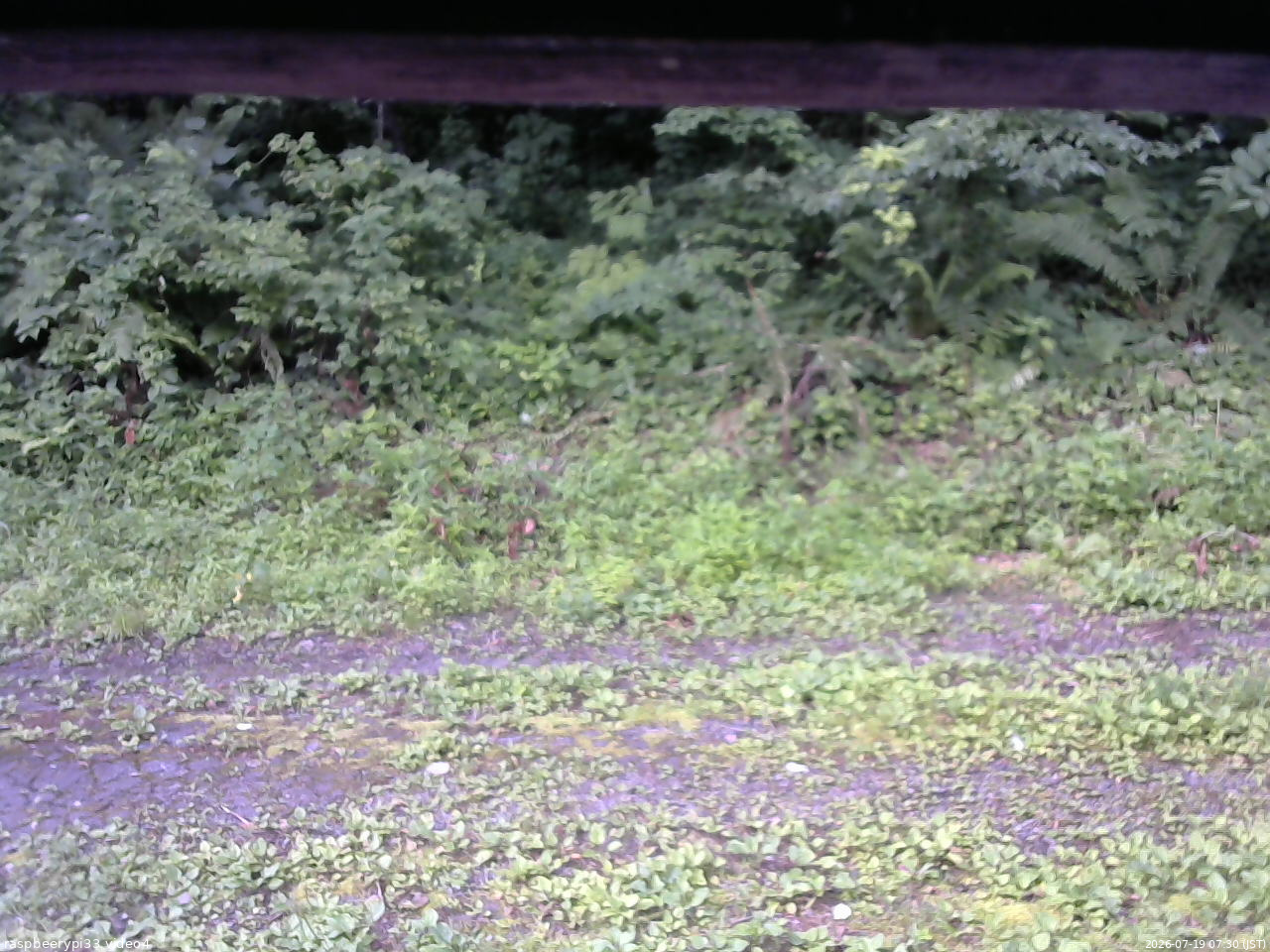 長野県菅平高原 ゆたか山荘 東側(坂下) 2026/07/19 07:30