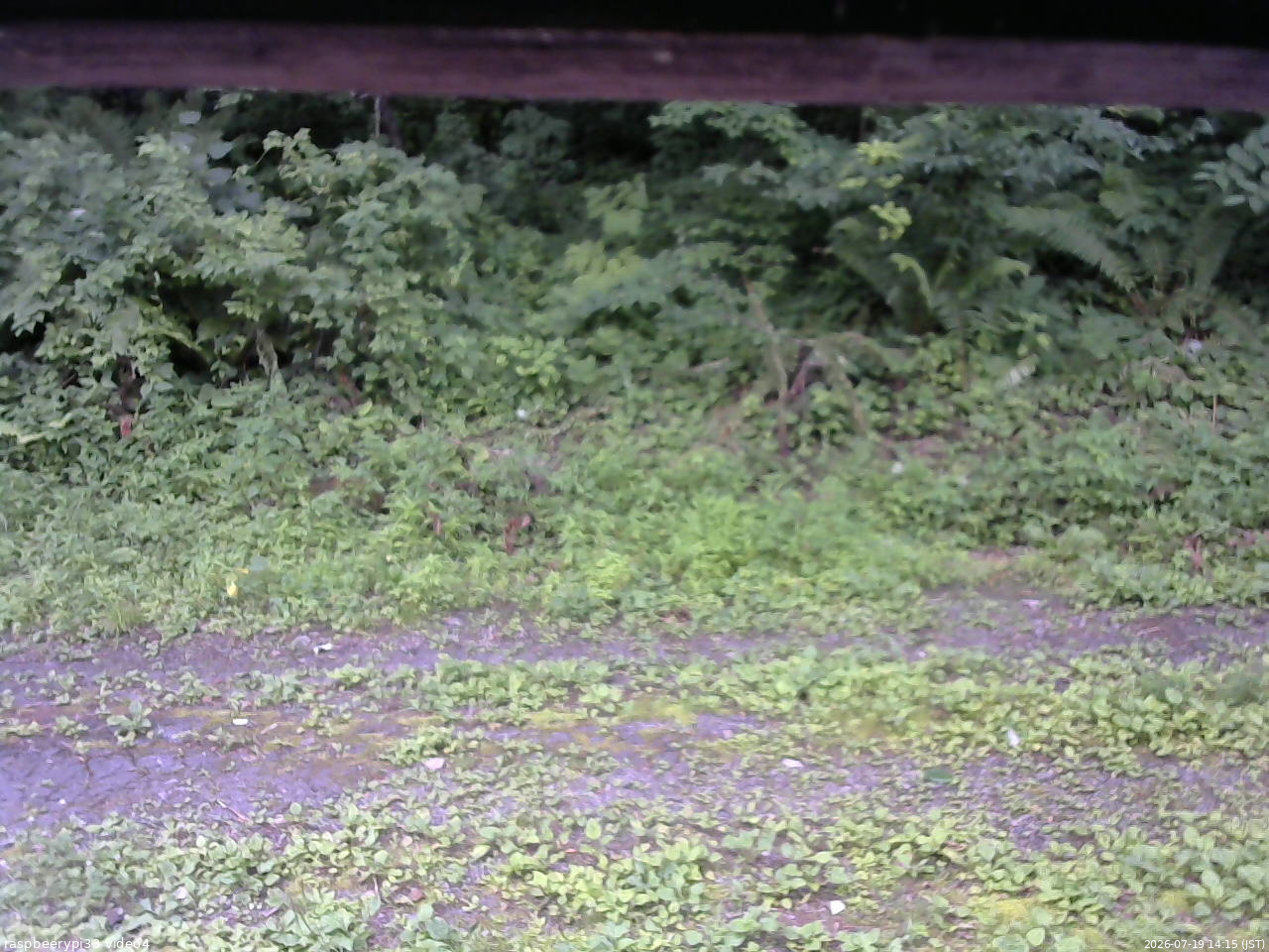 長野県菅平高原 ゆたか山荘 東側(坂下) 2026/07/19 14:15