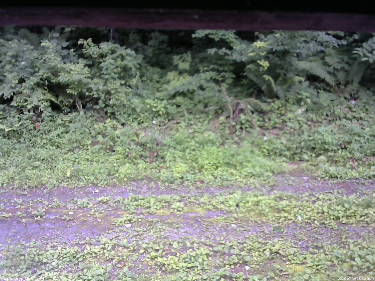 長野県菅平高原 ゆたか山荘 東側(坂下) 2026/07/19 15:30
