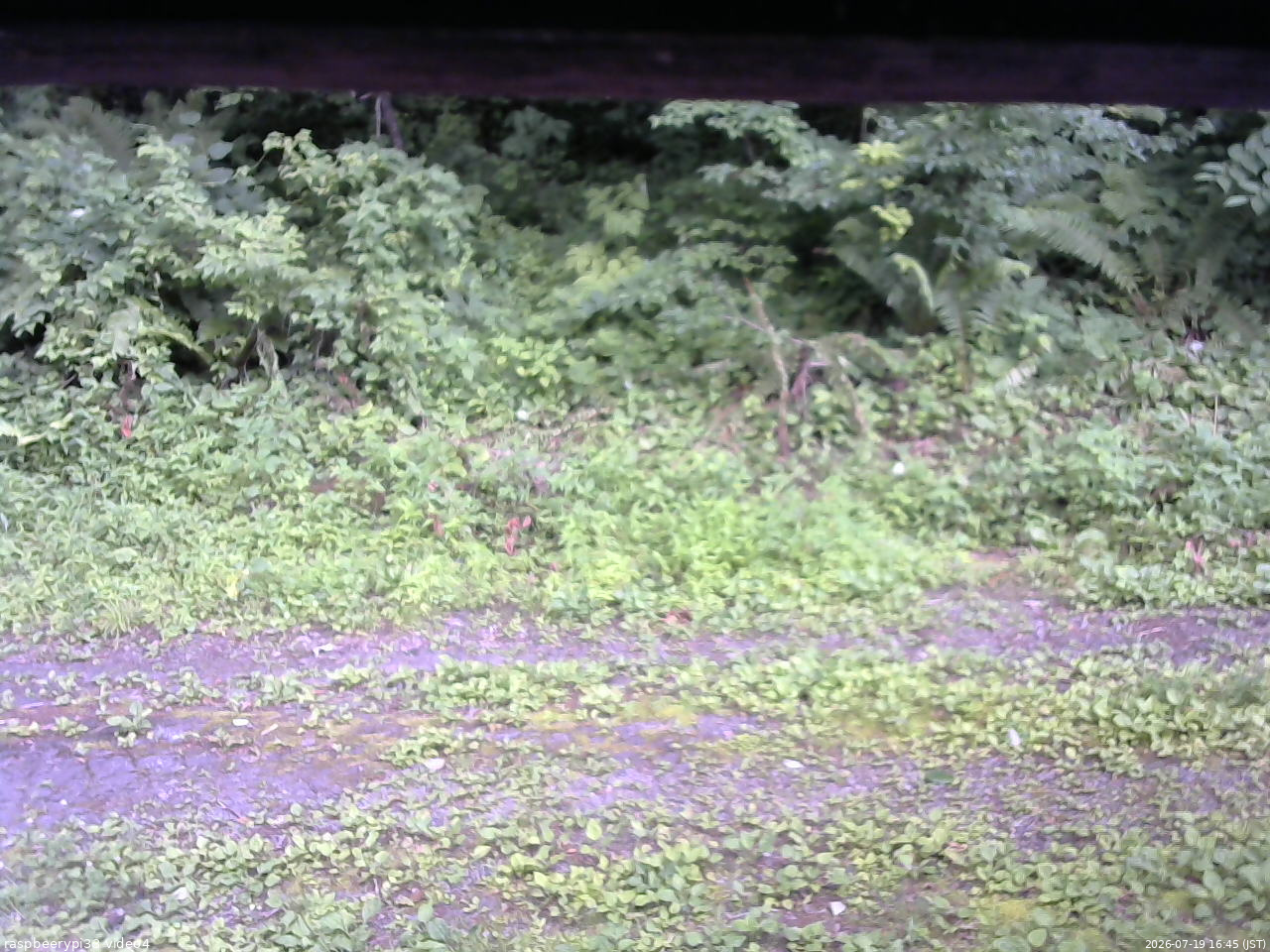 長野県菅平高原 ゆたか山荘 東側(坂下) 2026/07/19 16:45