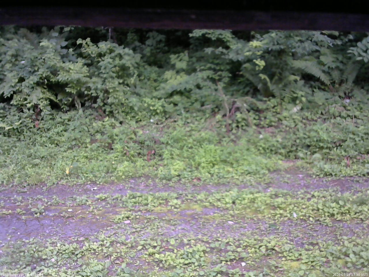 長野県菅平高原 ゆたか山荘 東側(坂下) 2026/07/19 17:30