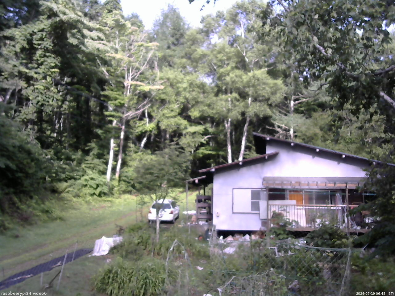 長野県菅平高原 ゆたか山荘 西側(坂上) 2026/07/19 06:45