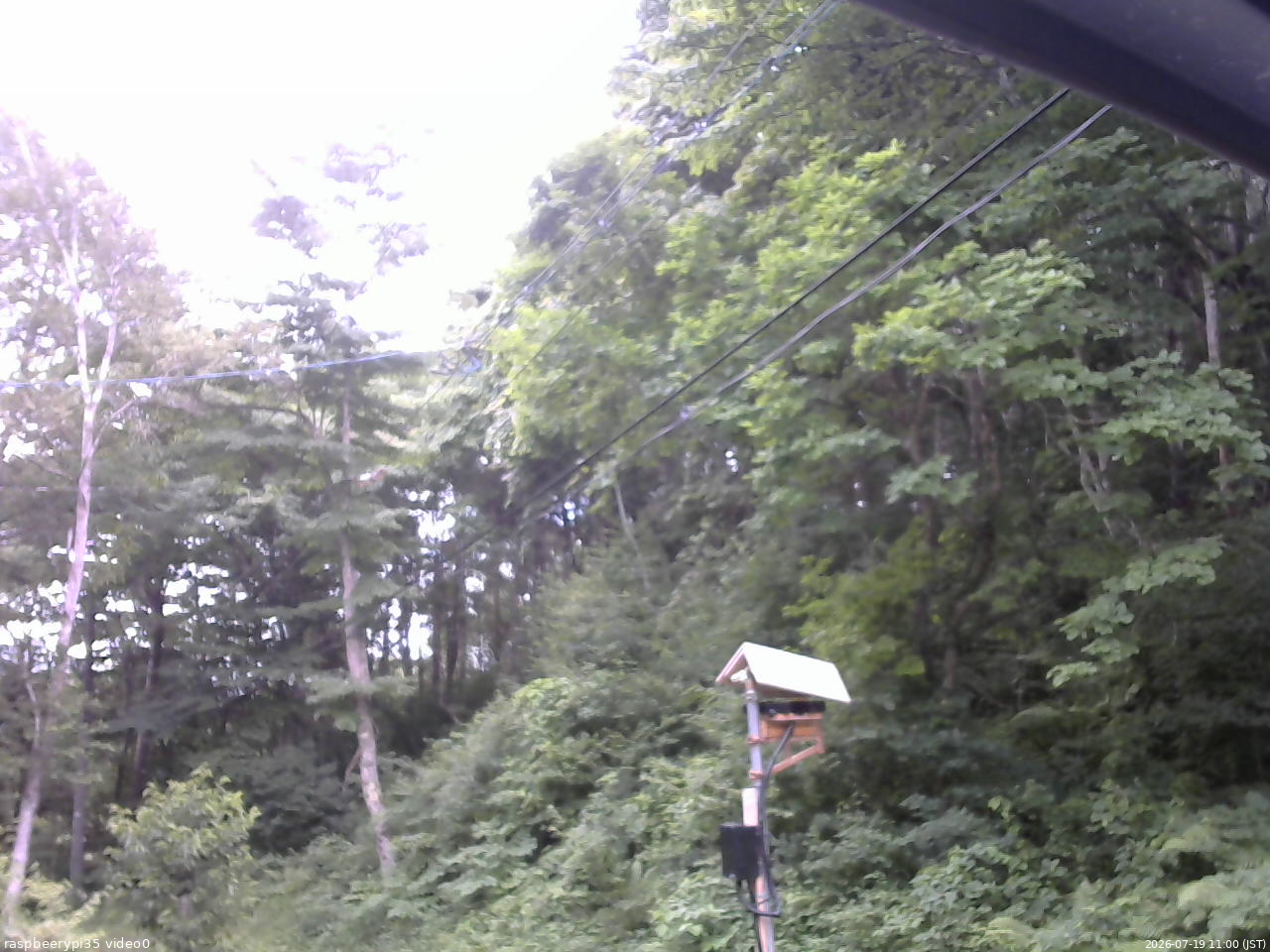 長野県菅平高原 ゆたか山荘 温度計 2026/07/19 11:00
