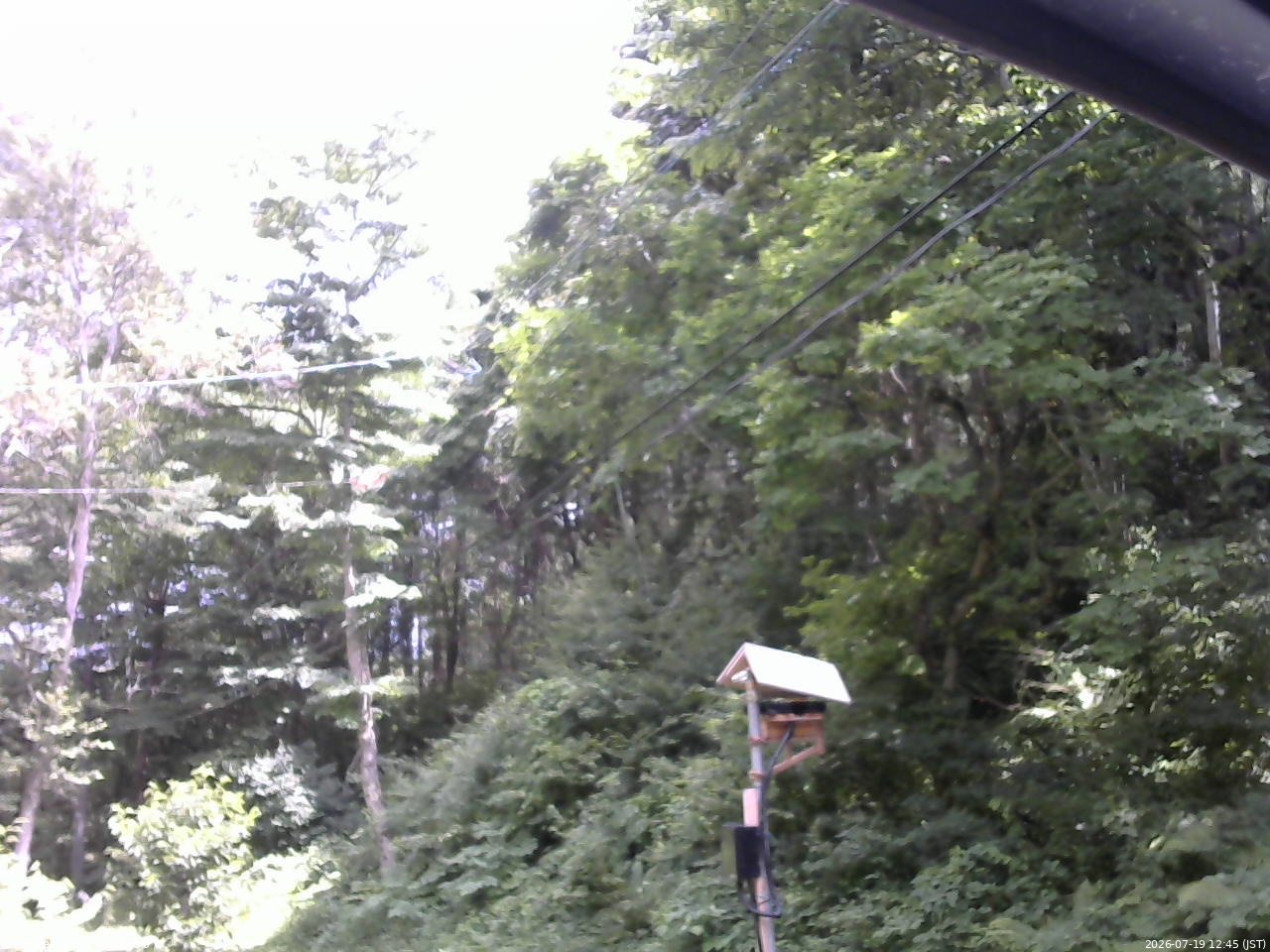 長野県菅平高原 ゆたか山荘 温度計 2026/07/19 12:45