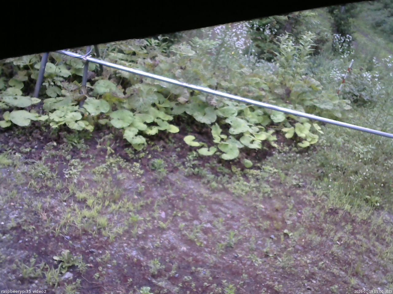 長野県菅平高原 ゆたか山荘 駐車場 2026/07/19 05:00