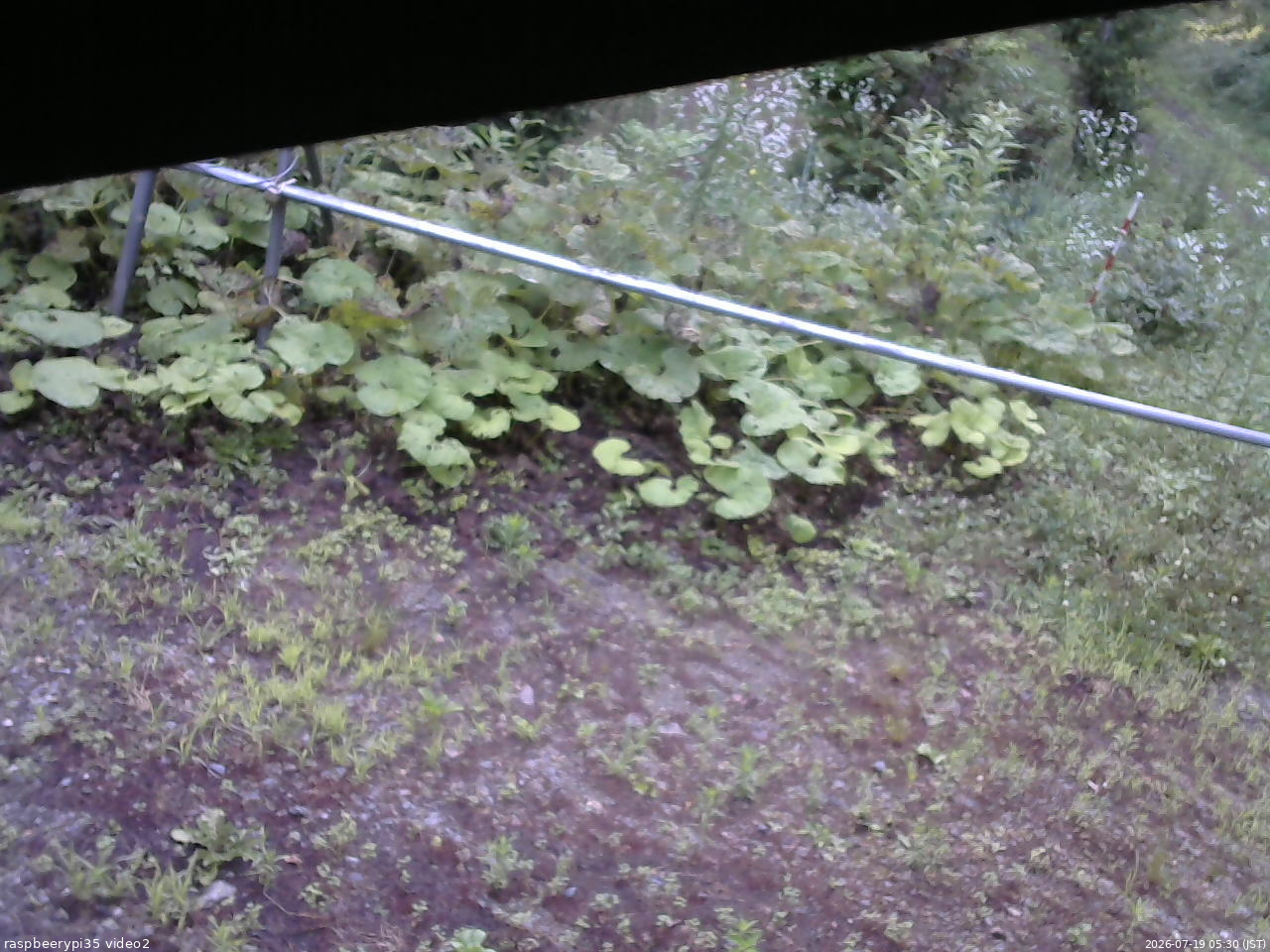 長野県菅平高原 ゆたか山荘 駐車場 2026/07/19 05:30