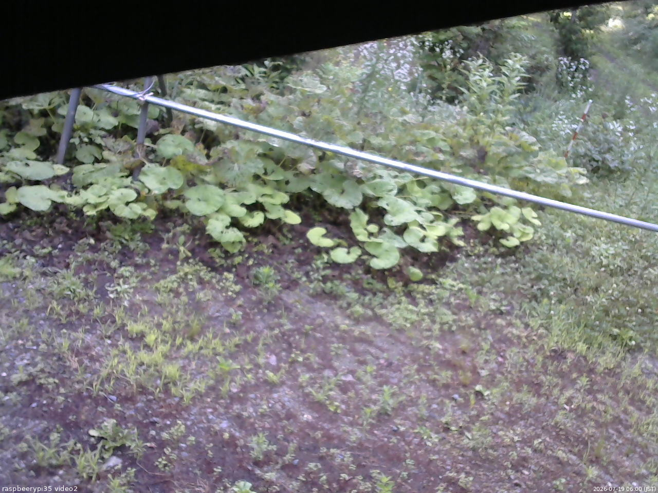 長野県菅平高原 ゆたか山荘 駐車場 2026/07/19 06:00