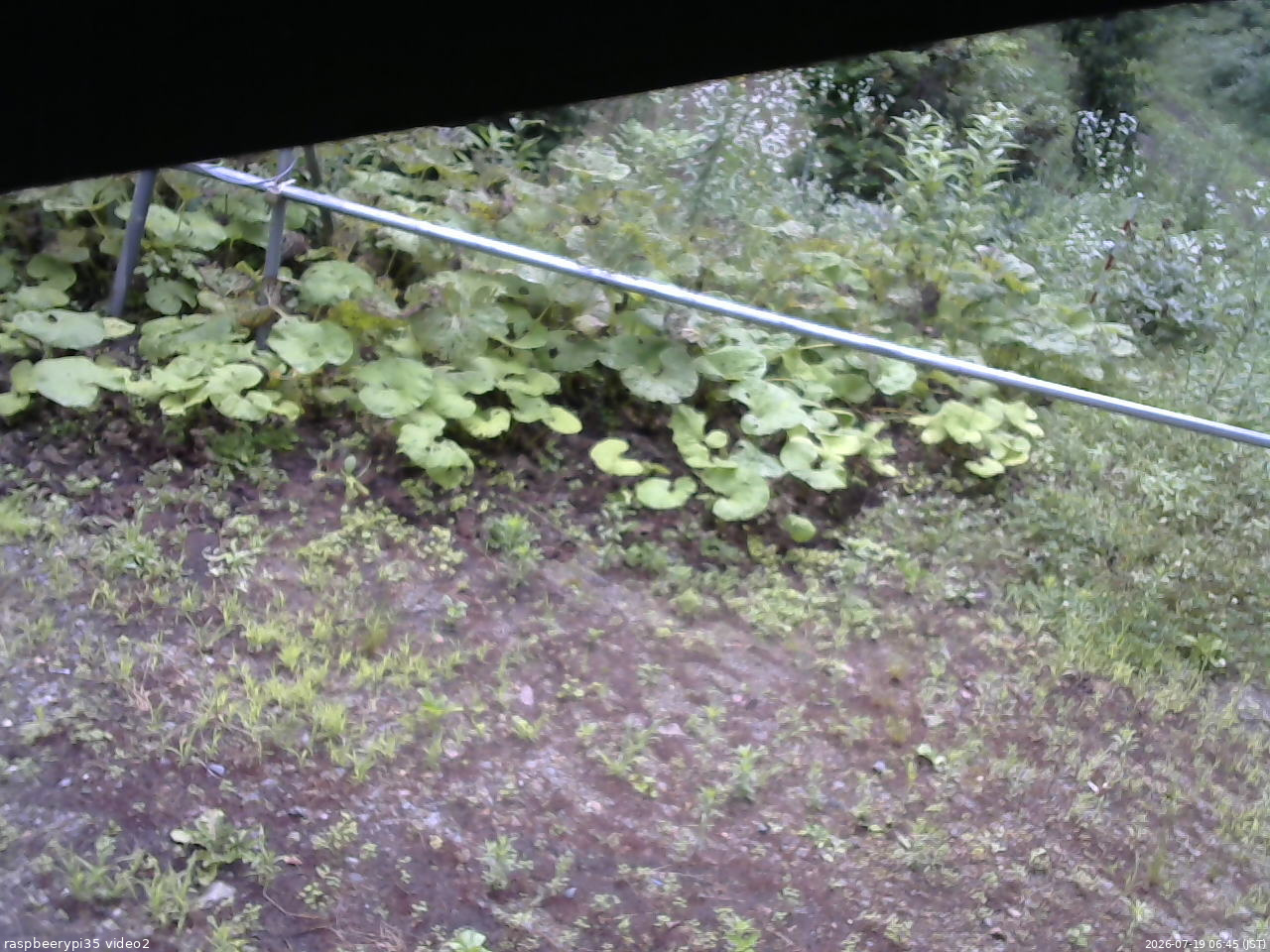 長野県菅平高原 ゆたか山荘 駐車場 2026/07/19 06:45