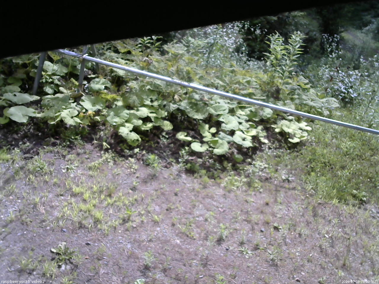 長野県菅平高原 ゆたか山荘 駐車場 2026/07/19 09:00