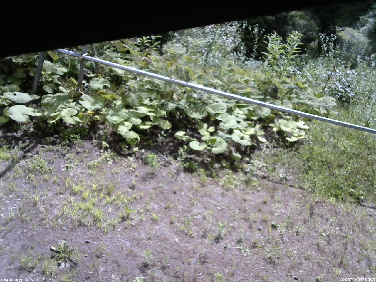 長野県菅平高原 ゆたか山荘 駐車場 2026/07/19 09:15