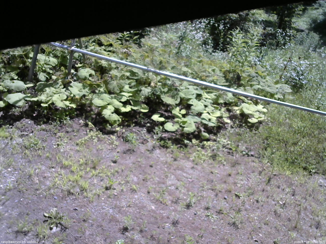 長野県菅平高原 ゆたか山荘 駐車場 2026/07/19 10:00