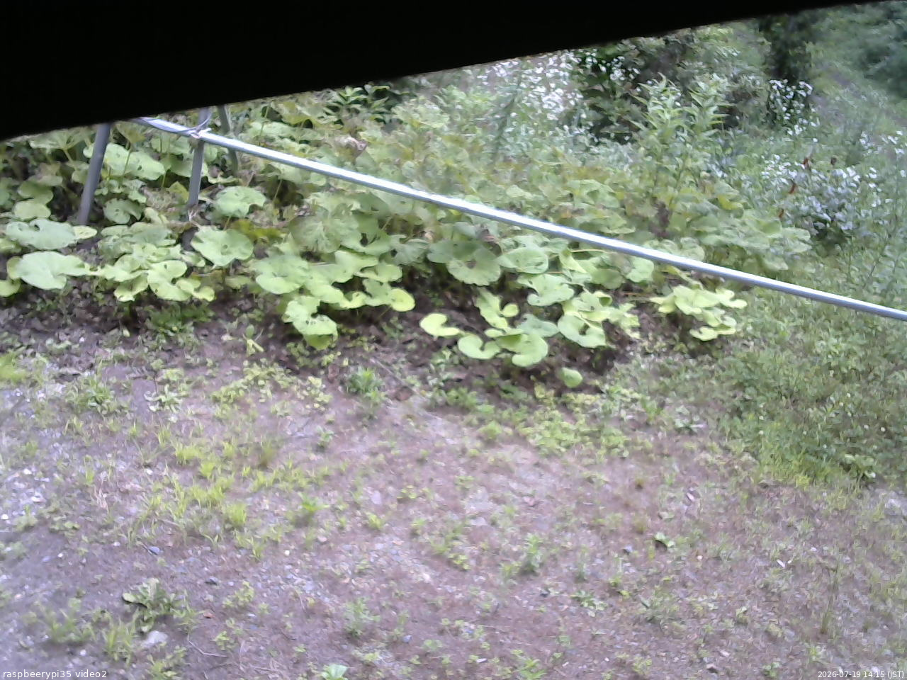 長野県菅平高原 ゆたか山荘 駐車場 2026/07/19 14:15