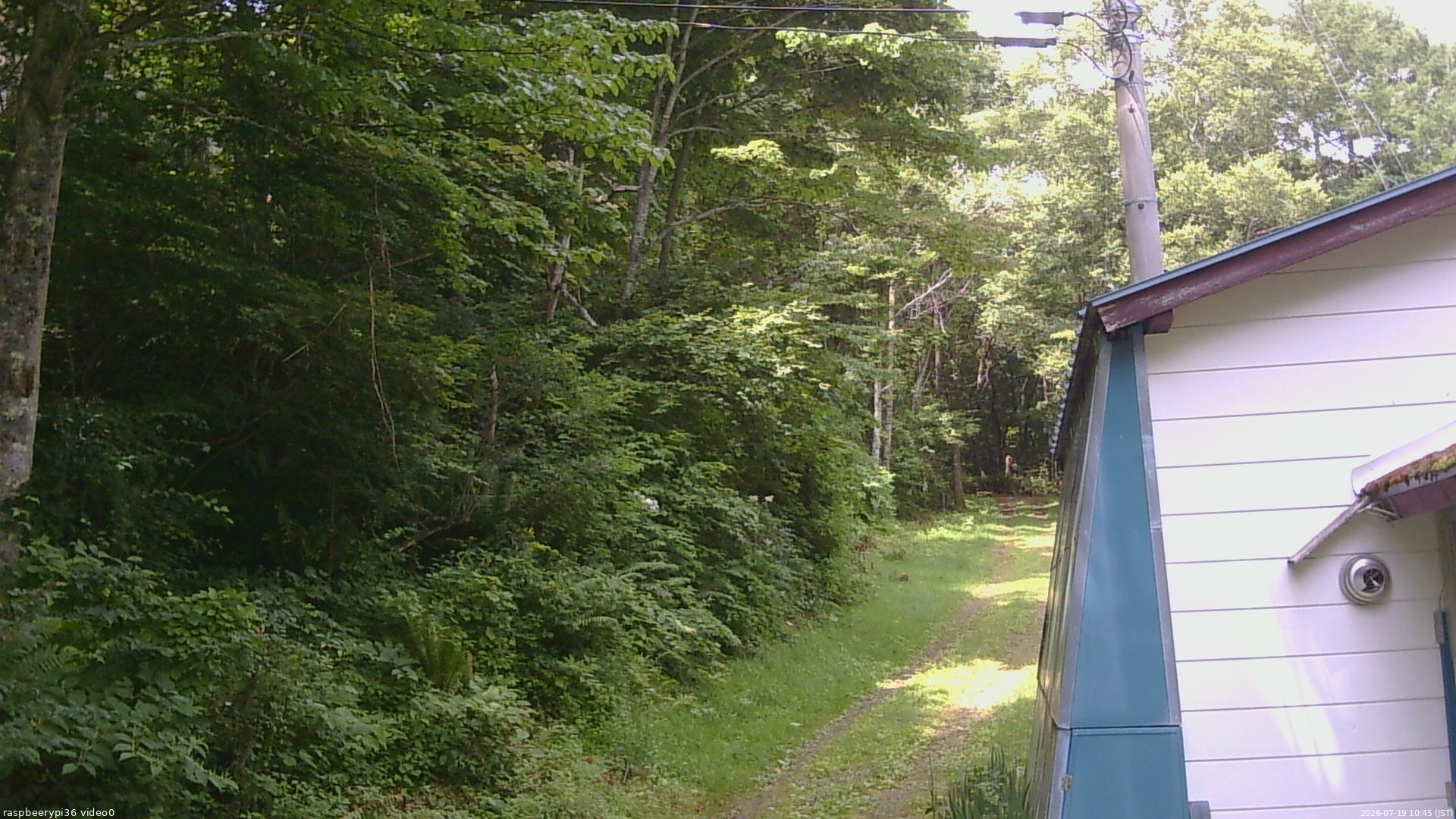 長野県菅平高原 ゆたか山荘 ゆたか山荘 2026/07/19 10:45