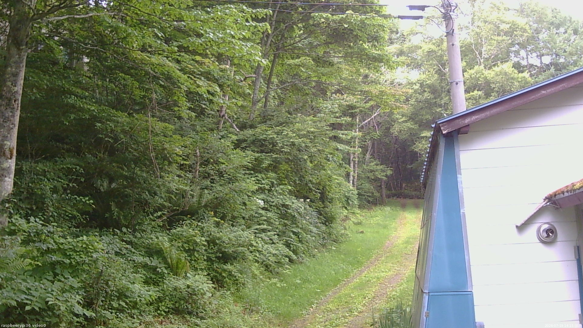 長野県菅平高原 ゆたか山荘 ゆたか山荘 2026/07/19 14:15