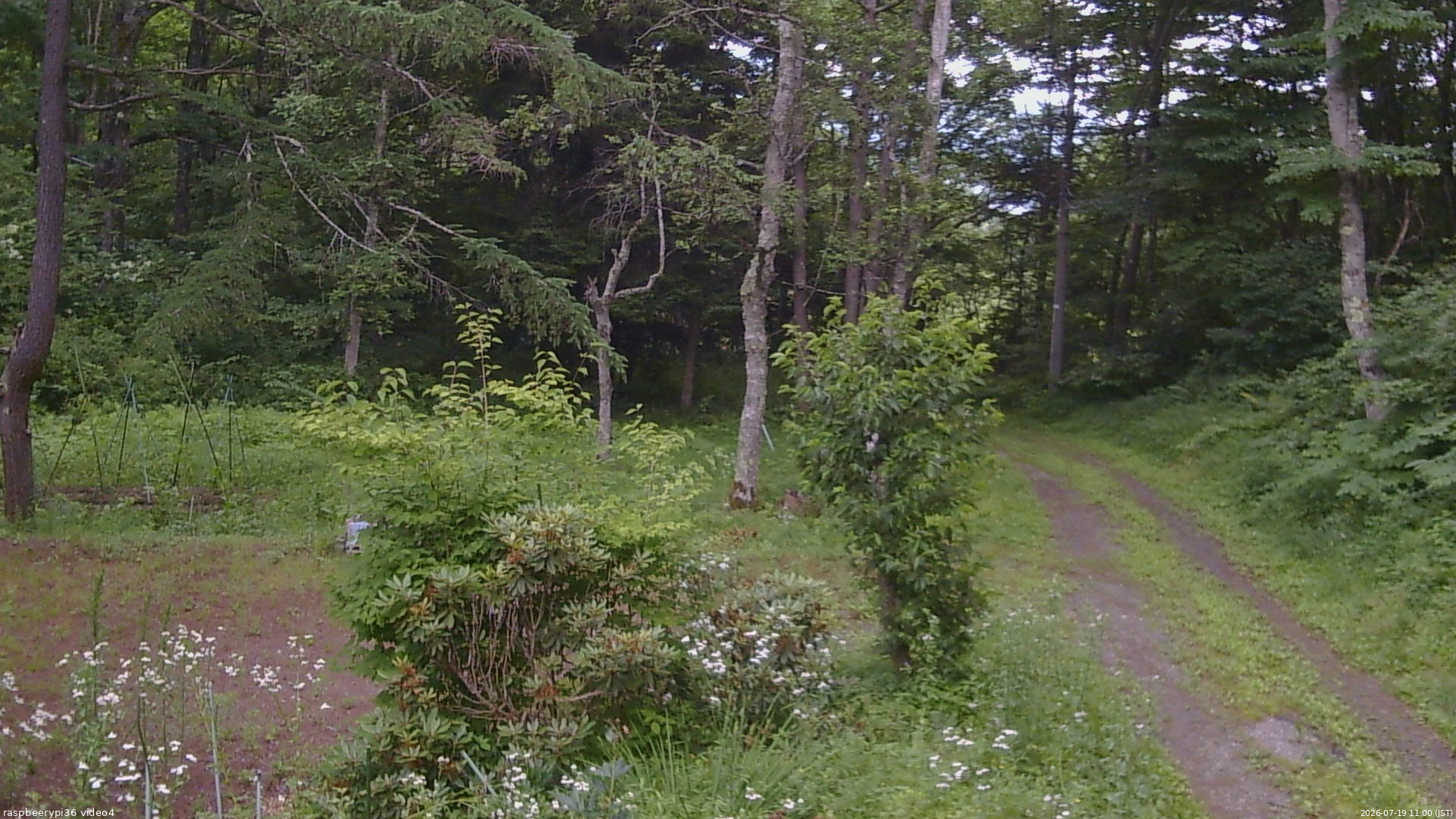 長野県菅平高原 ゆたか山荘 坂上 2026/07/19 11:00