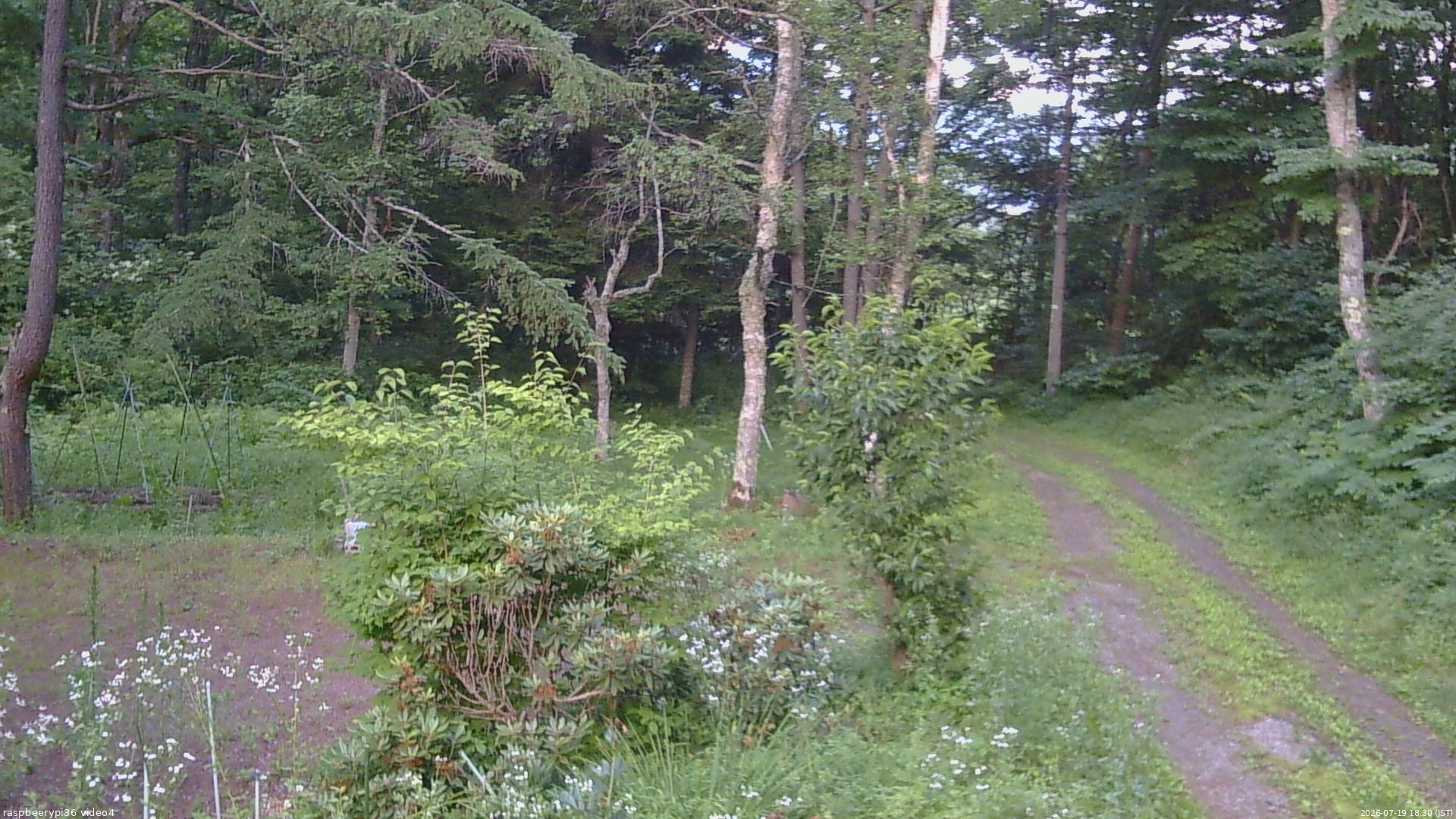 長野県菅平高原 ゆたか山荘 坂上 2026/07/19 18:30