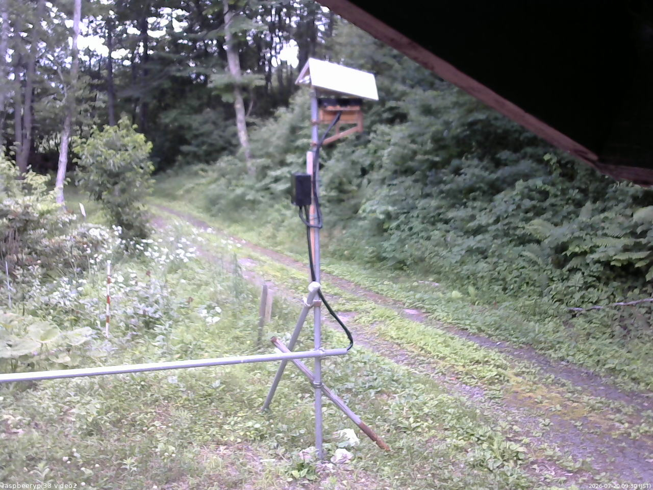 長野県菅平高原 ゆたか山荘 南側 2026/07/20 09:30