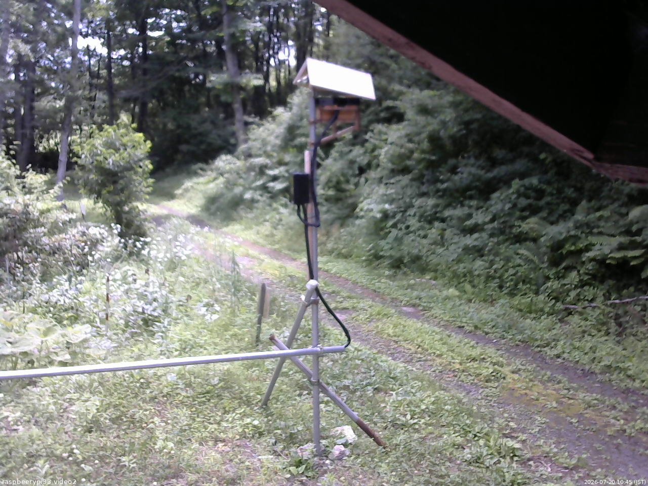 長野県菅平高原 ゆたか山荘 南側 2026/07/20 10:45