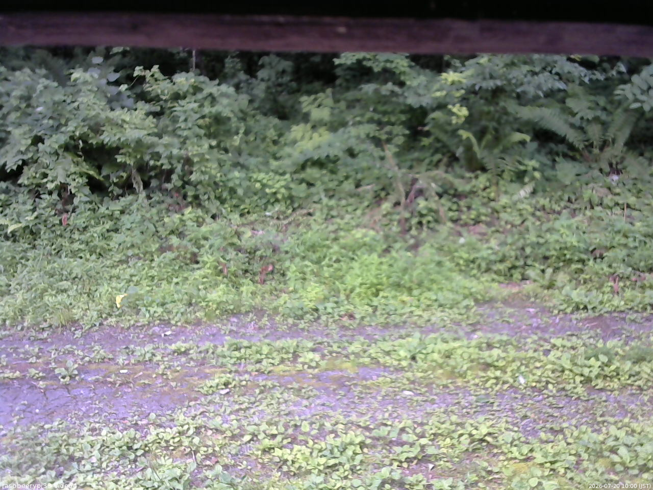長野県菅平高原 ゆたか山荘 東側(坂下) 2026/07/20 10:00