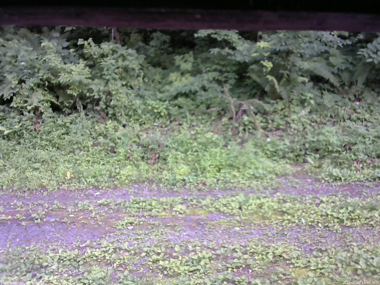 長野県菅平高原 ゆたか山荘 東側(坂下) 2026/07/20 14:45
