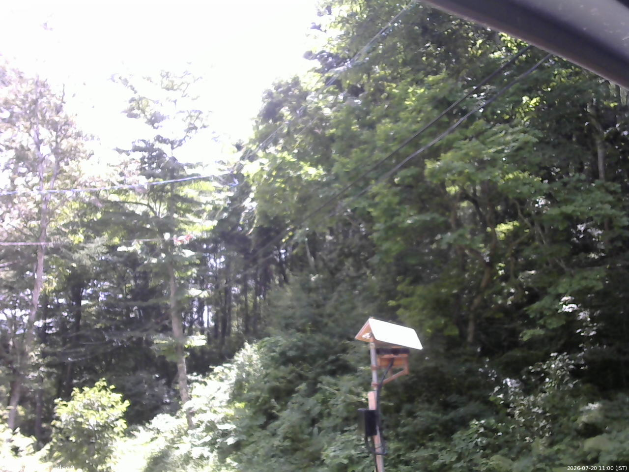 長野県菅平高原 ゆたか山荘 温度計 2026/07/20 11:00