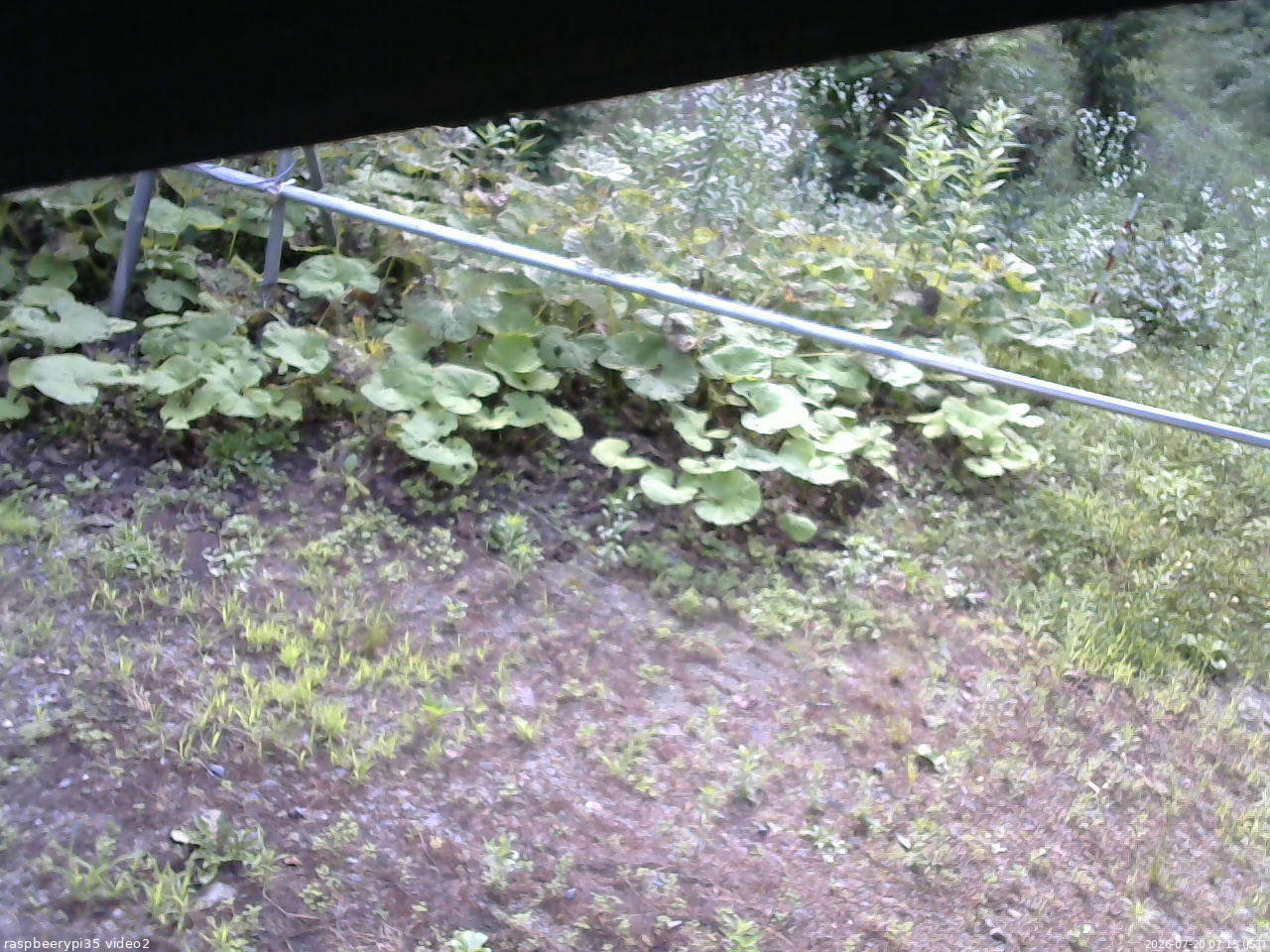 長野県菅平高原 ゆたか山荘 駐車場 2026/07/20 07:15