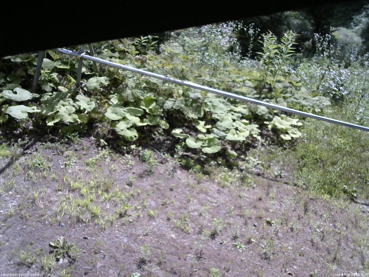 長野県菅平高原 ゆたか山荘 駐車場 2026/07/20 09:15